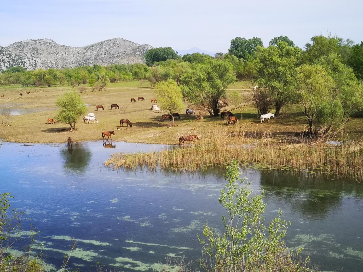 Wild Beauty House Skadar Lake Cetinje Bagian luar foto